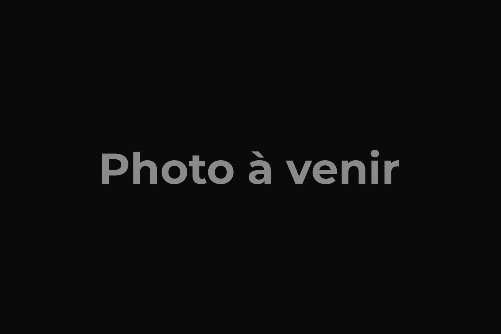 Le Tournesol